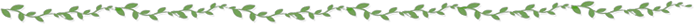 篮球训练员培训班费用多少_1
